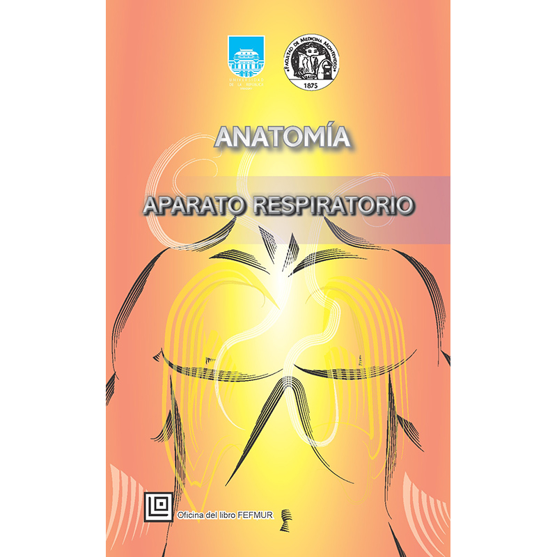 Cuadernos de Anatomía: Aparato Respiratorio