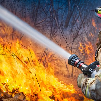 Bombero Con Manguera Intentando Apagar Incendio En Un Bosque