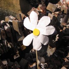 Flor Blanca En Un Sitio De Comemoracón
