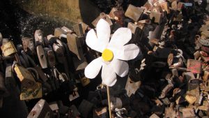 flor blanca en un sitio de comemoracón