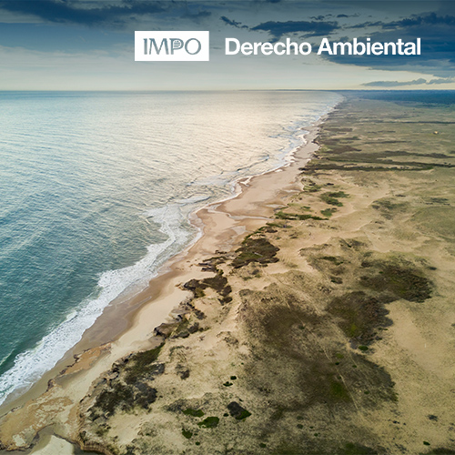 Foto aerea e costa con playa y dunas (área protegida)
