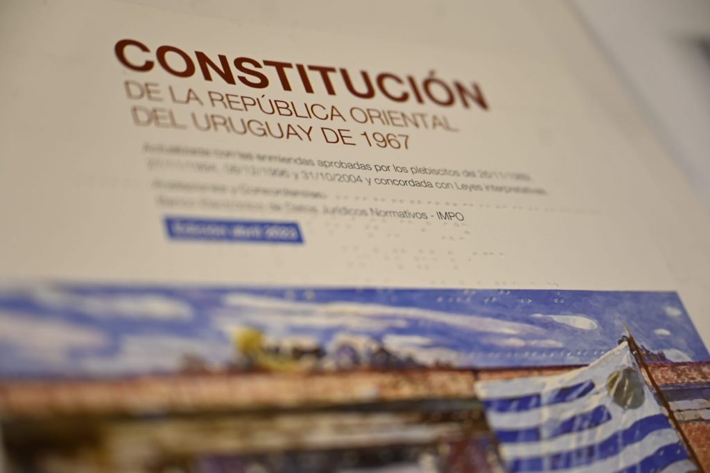 Constitución en braille.