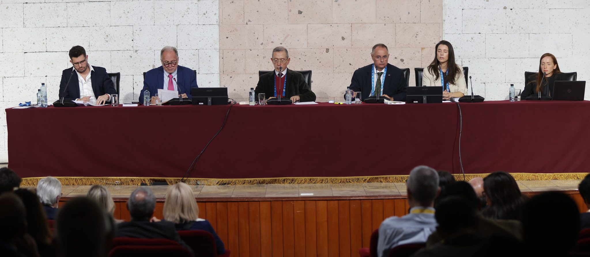Panel sobre “La inteligencia artificial al servicio del lenguaje claro y la comunicación accesible” en el X Congreso Internacional de la Lengua Española”